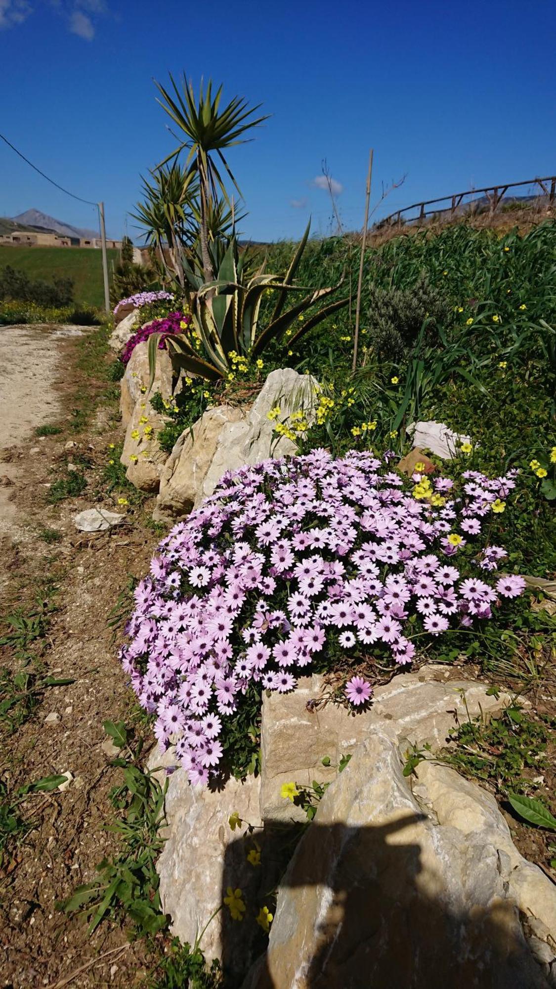 Helimos Bed&Breakfast Segesta Temple-Castellammare Calatafimi Zewnętrze zdjęcie