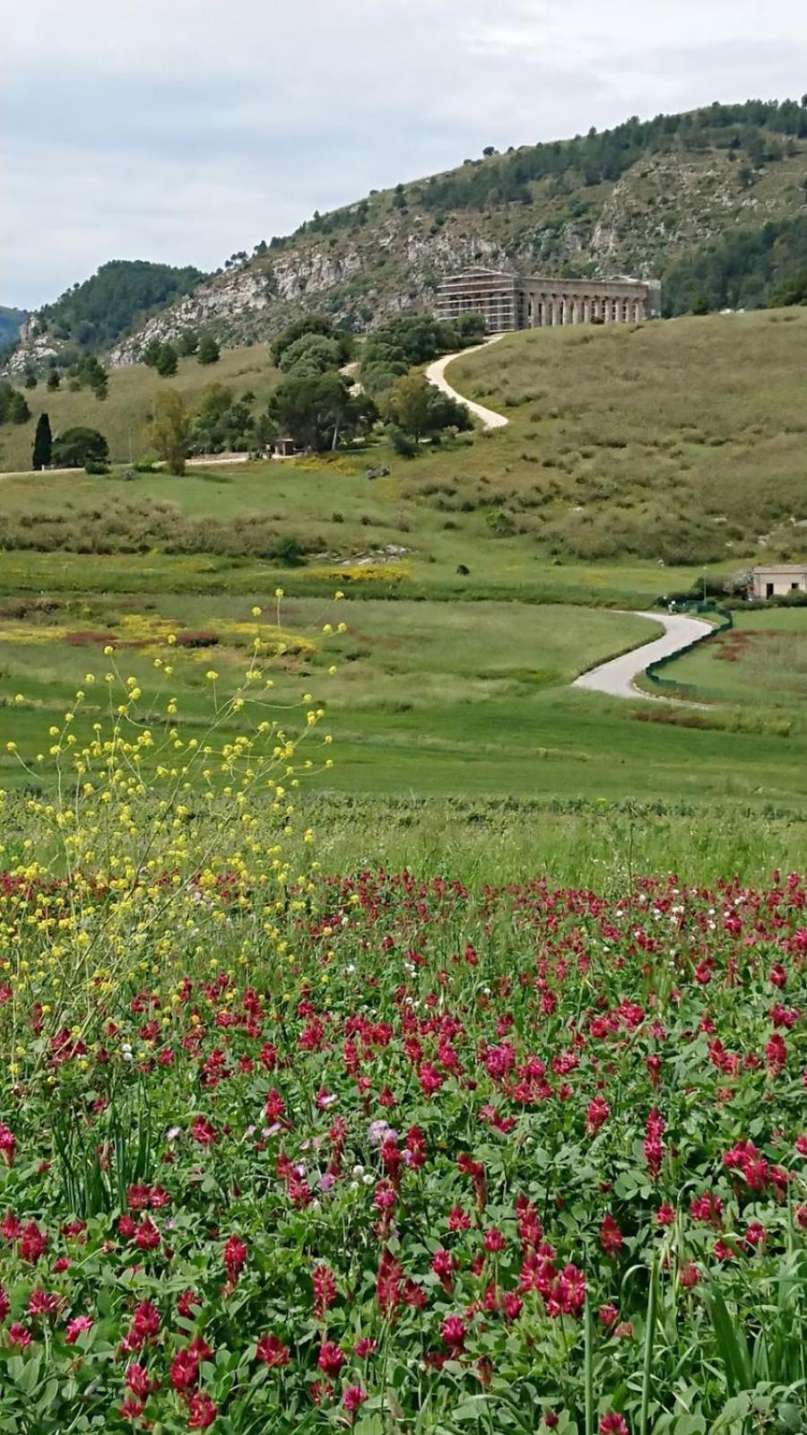 Helimos Bed&Breakfast Segesta Temple-Castellammare Calatafimi Zewnętrze zdjęcie